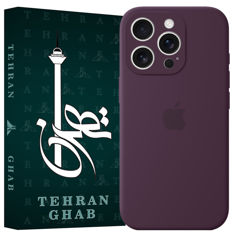 کاور تهران قاب مدل TSILICIN مناسب برای گوشی موبایل اپل iPhone 16 Pro